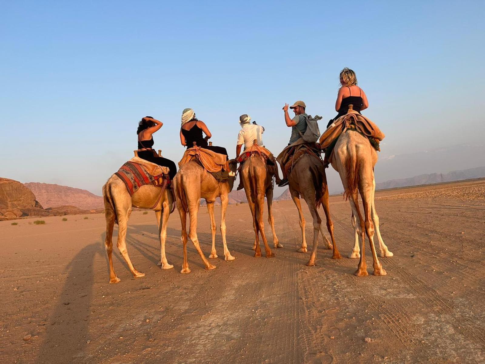 Harmony Luxury Camp Hotel Wadi Rum Exterior photo